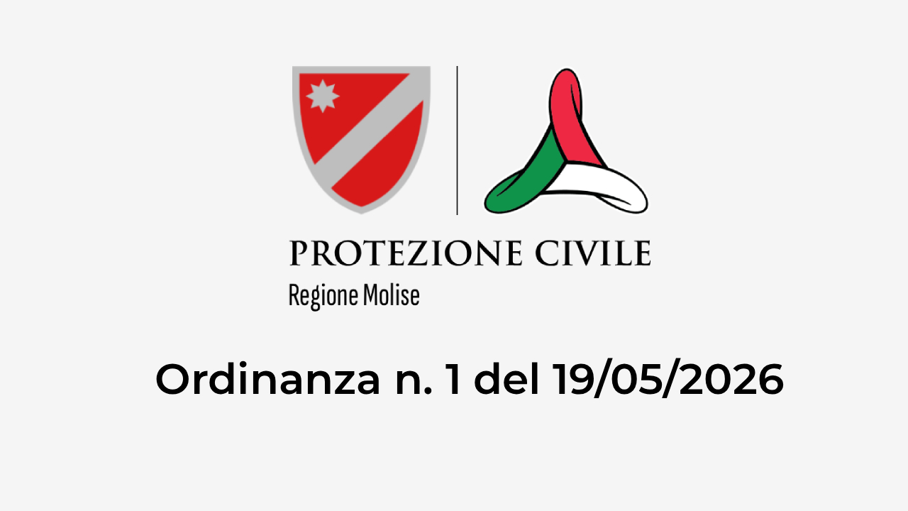 Immagine di copertina per l'articolo: ORDINANZA n. 1 del 19-05-2026 – Criteri per la ricognizione dei dati ai fini della predisposizione del piano degli interventi e per la ricognizione dei fabbisogni